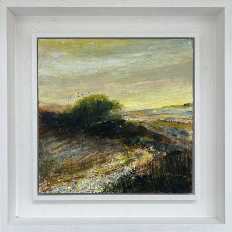 Evening Warmth